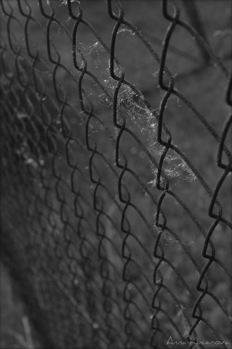 DSC_0251