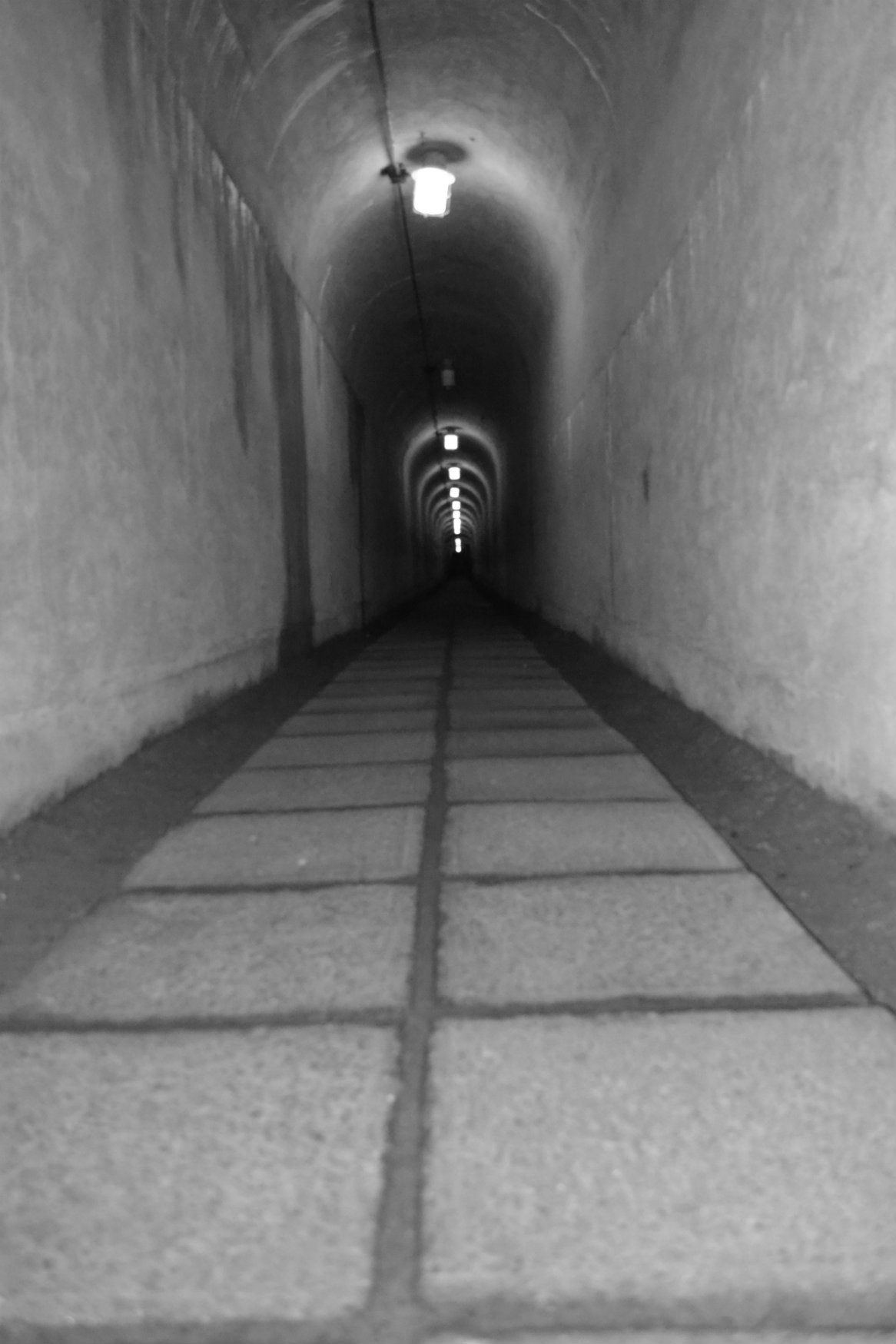 CSC_0594