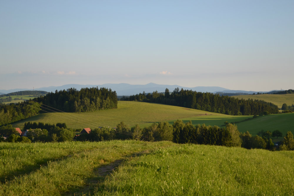 DSC_0825